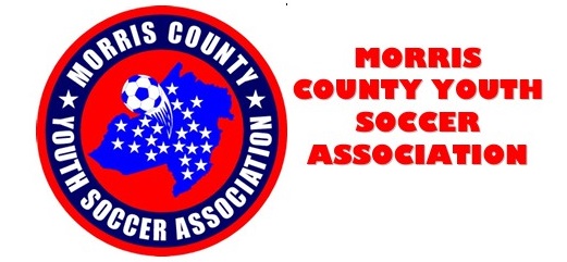 MCYSA LOGO